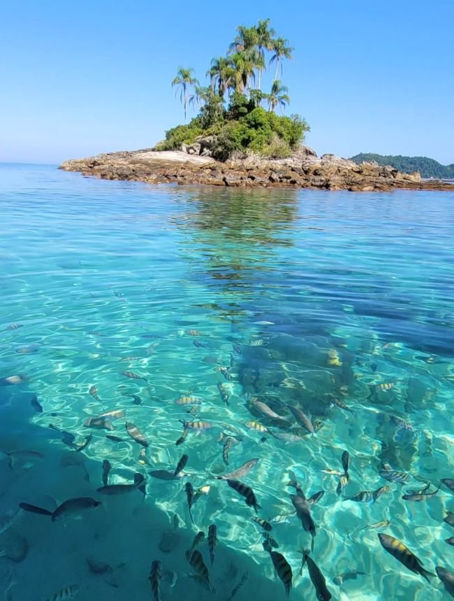 Ilha Botinas - Destaque