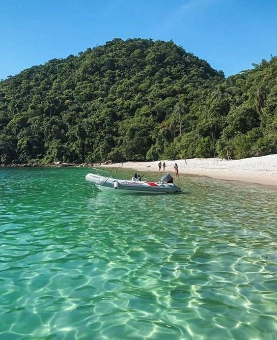 Uma vez na Praia do Dentista, o que não faltam são opções para curtir o dia. Desde relaxar na areia até explorar a vida marinha com um mergulho, há atividades para todos os gostos.